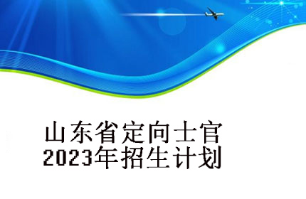 資格證書(shū)補發換發申請(qǐng)表